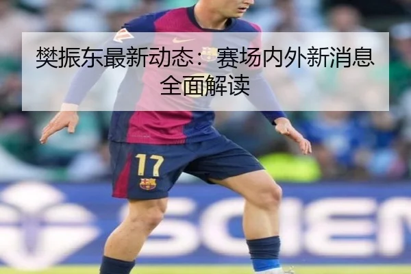 樊振东最新动态：赛场内外新消息全面解读